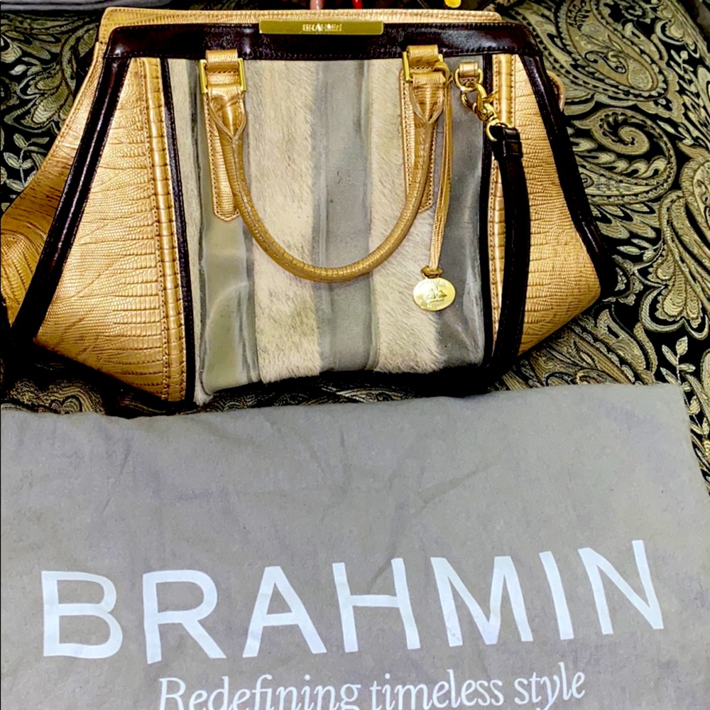 Tan Brahmin